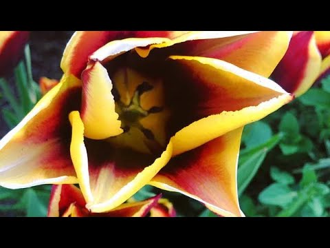 RIGHT NOW by 1N1 [FREE] Gunna Type Beat (HARD) x Lil Baby 2019 Beat "Power" BY MaaBeatz