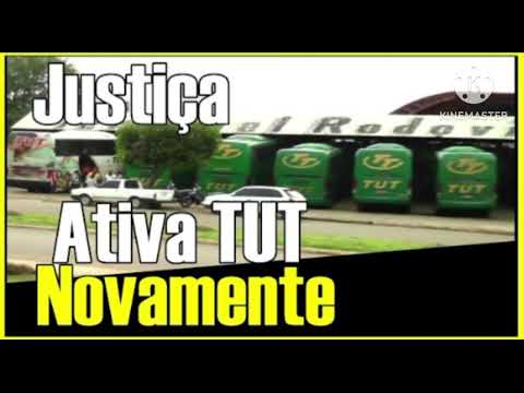 Tut transportes extinta de expansão novo dono Ezequiel eze nova olimpia mato grosso 