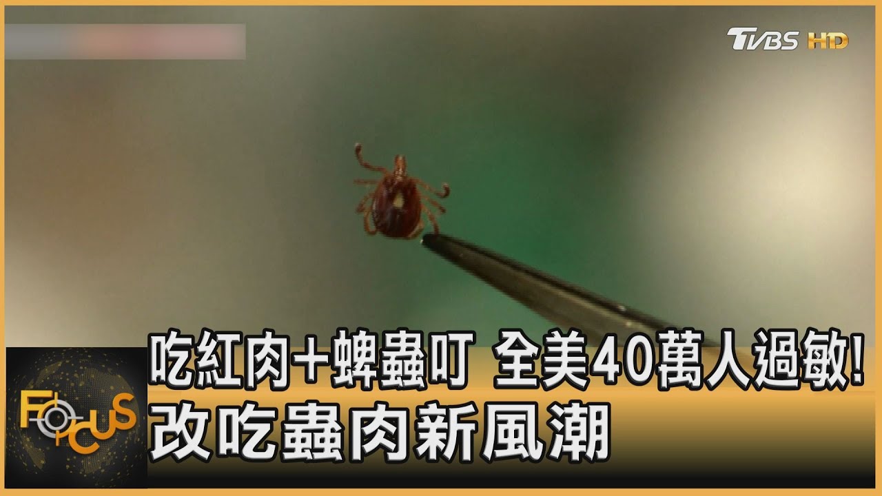 吃紅肉.蜱蟲叮 美40萬人過敏 改吃蟲肉新風潮