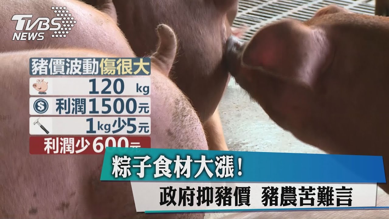 粽子食材大漲！政府抑豬價　豬農苦難言
