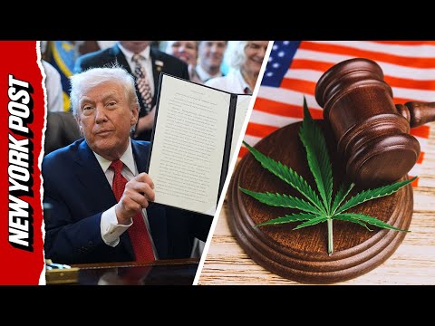 Trump Signs 'Common Sense' Order Changing Marijuana’s Legal Status