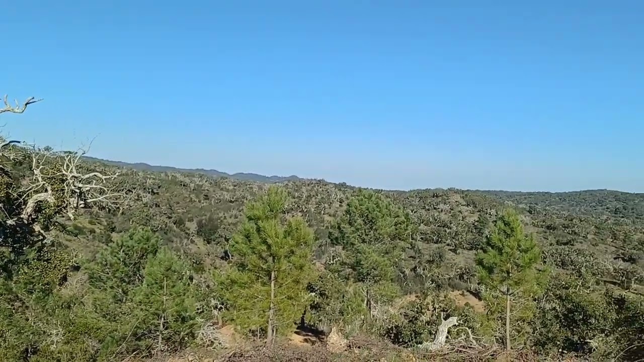 Vídeo do imóvel
