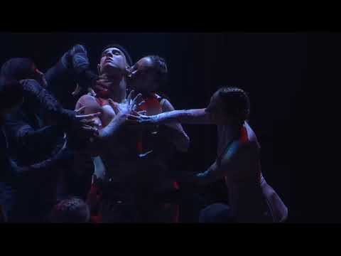 Promotional video thumbnail 1 for Aerial Straps, Aerial Silks