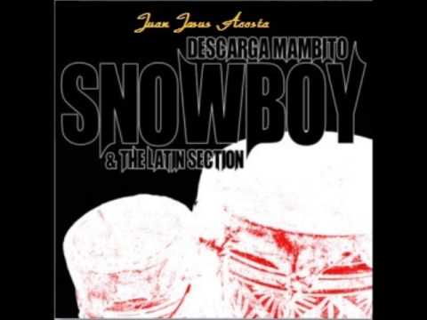 Mambito   Snowboy The Latin Section