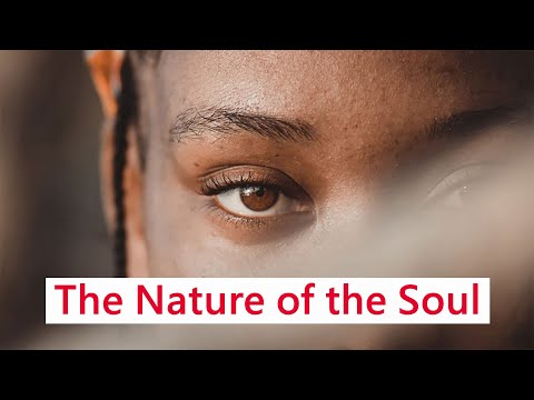 The Nature of the Soul
