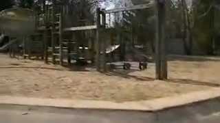 Baby Colton on Golfcart Ride gong to Honey Lake with Grandpa!