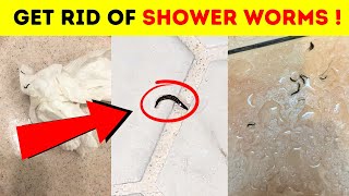 How To Get Rid Of Black Shower Worms (Only 3 Steps!)
