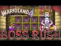 Wario Land 4 Boss Rush Hard Mode No Damage