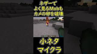 ゾンビだけじゃない！ネザーでよく見かけるあるMobもカメの卵を壊します　【マイクラ/マインクラフト】 #shorts