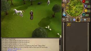 99 Defence - RuneScape 2