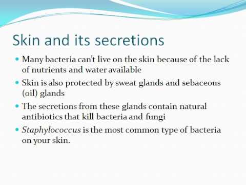 chapter 36 BIO II first half of lecture