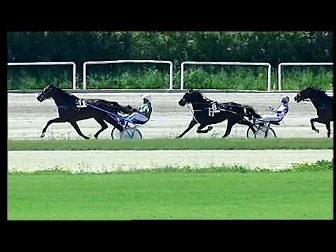 Napoli Trotto 18/04/2022 - 2ª corsa