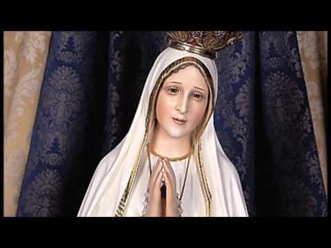 Sermon by Fr. Paul Robinson