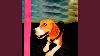 Cover art for Baby Talk