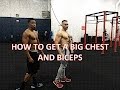 Panda Aesthetics| How to get a BIG Chest and Biceps