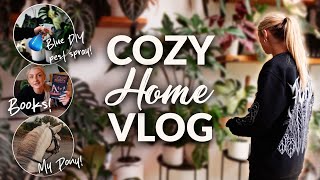 Cozy Home Vlog! | DIY Pest Spray, My Horse, & Book/Movie Chat!