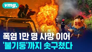 폭염도 모자라 최악 산불까지..유럽 저주 받았나 / 머그인사이트 / 비디오머그