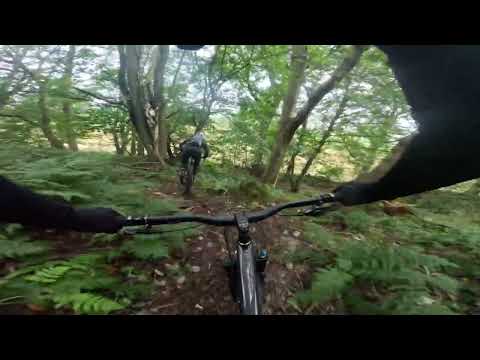 Kemback woods exploration day with @ Zippo ILBC