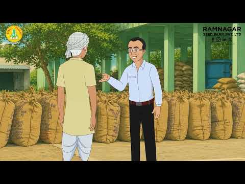 Improved Paddy – Sudeshna – Hindi