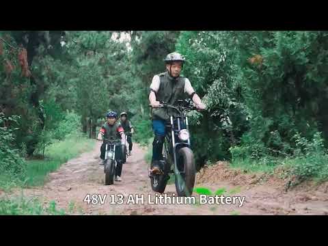 1000W electric mountain bike
