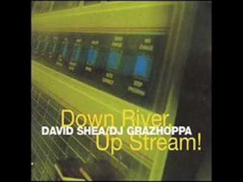 David Shea & DJ Grazzhoppa - In Station