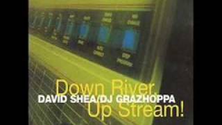 David Shea & DJ Grazzhoppa - In Station