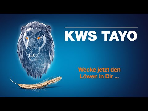 KWS TAYO - Wecke jetzt den Löwen in Dir!