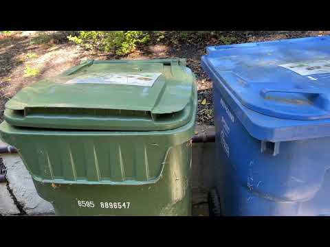 Do Pizza Boxes Go in the Green or Blue Bin (Compost or Recycle)?