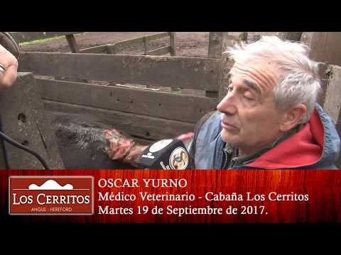 15-08-17 Nota Oscar Yurno - Los Cerritos - Azul