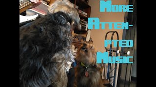 2022-02-13 - Foghat - Live Now Pay Later