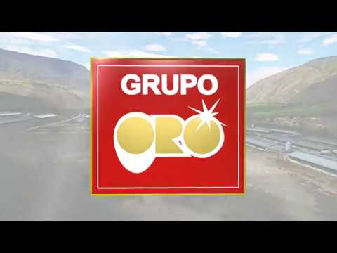GRUPO ORO 25 Años