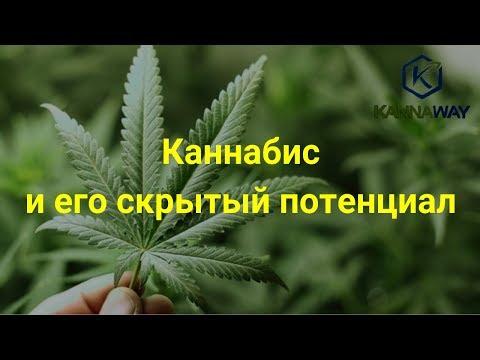 Каннабис и его скрытый потенциал.