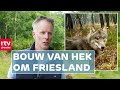 Een hek om Friesland & privé sanitair steeds populairder | Drenthe Nu 29 juni 2021