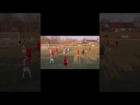 Rezumat, Dunarea Gradistea-Spicul Valcelele, 9.03.2024