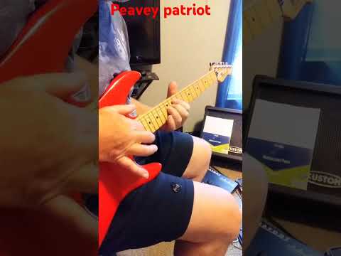 Peavey  Patriot  1987 Free shipping image 13