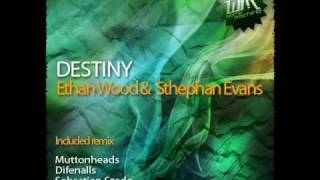Ethan Wood & Stephan Evans - Destiny (DIFENALLS aka Jeff Di Feno & Jyack Alls  Remix)