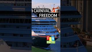 I Wish I Knew This Before I Cruised on Carnival Freedom. #holiday #cruise #travel