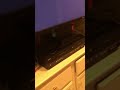 Closing To Big Daddy 1999 VHS