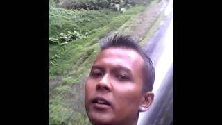 Download lagu Jefri Samudra Banyuwangi [ Video] mp3