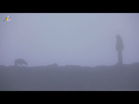SERIES | Highland Wild Dog Story with James "Mac" McIntyre - The Documentary