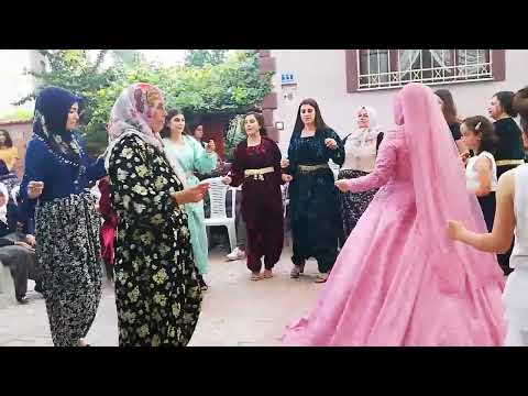 Özlem Ökten AKŞEHİR düğünleri Reyis köyü mahallesi