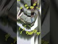 Balcony Garden Design Balcony Design For House Balcony Grill Ideas 2023 Shorts Youtube Viral