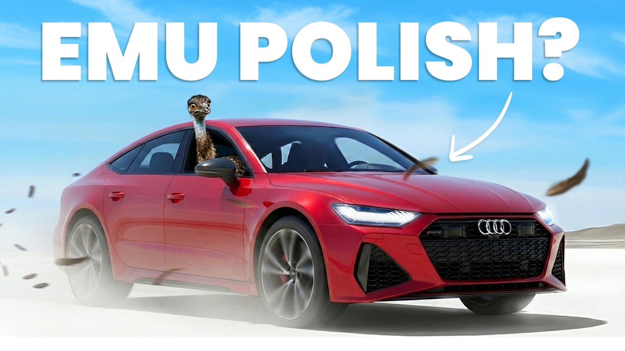 101 Facts About AUDI