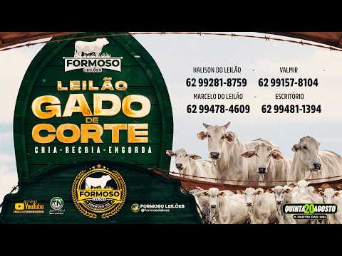 LEILÃO GADO DE CORTE FORMOSO LEILÕES - FORMOSO - GO - 20/08/2026