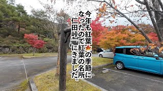 長崎県雲仙市紅葉の名所「仁田峠」で紅葉狩り２０２５