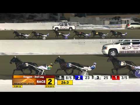 Meadowlands February 14, 2015 - Race 2 - Rockeyed Optimist