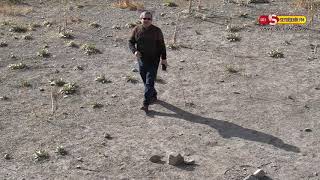 SEYDİŞEHİR BOSTANDERE VASADA ANTİK TİYATROSU İLGİ BEKLİYOR