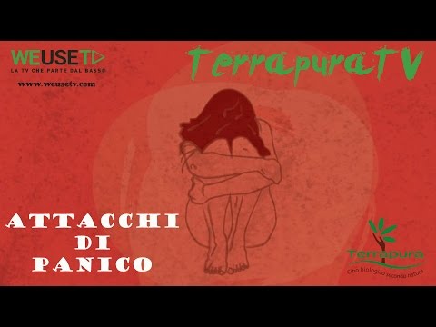 Balsamo cavallo per le articolazioni di acquistare St. Petersburg Nausea, dolore addominale e la parte bassa della schiena, così come la temperatura di separazione