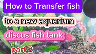 How to transfer fish to a new aquarium / PAANO MAG LIPAT NG ISDA SA IBANG TANK