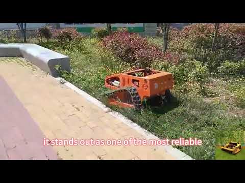 Vigorun VTLM800 リモコン式クローラー式芝刈り機をオンラインで購入するには？